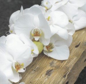 rouw decoratie