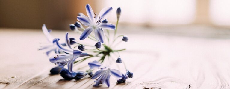 De wereld staat stil