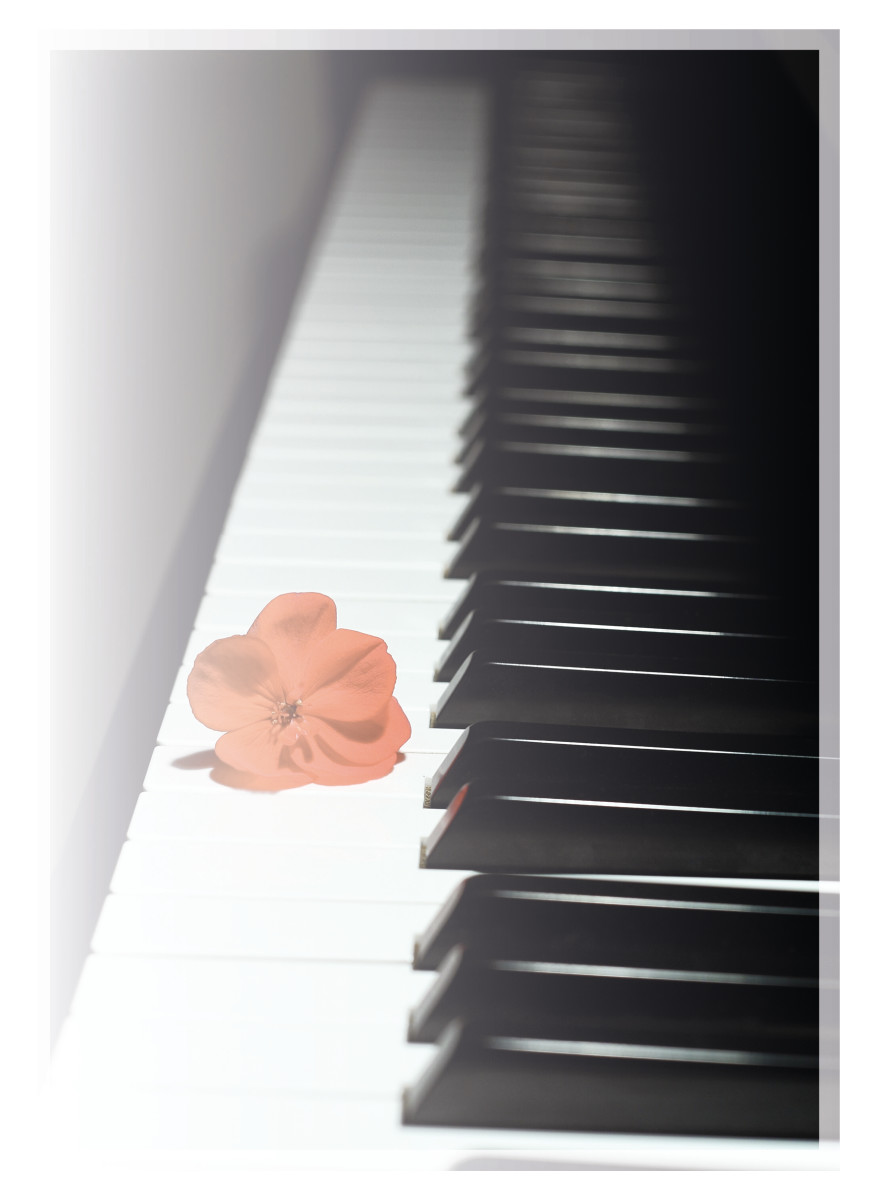 Foto Bloem op piano