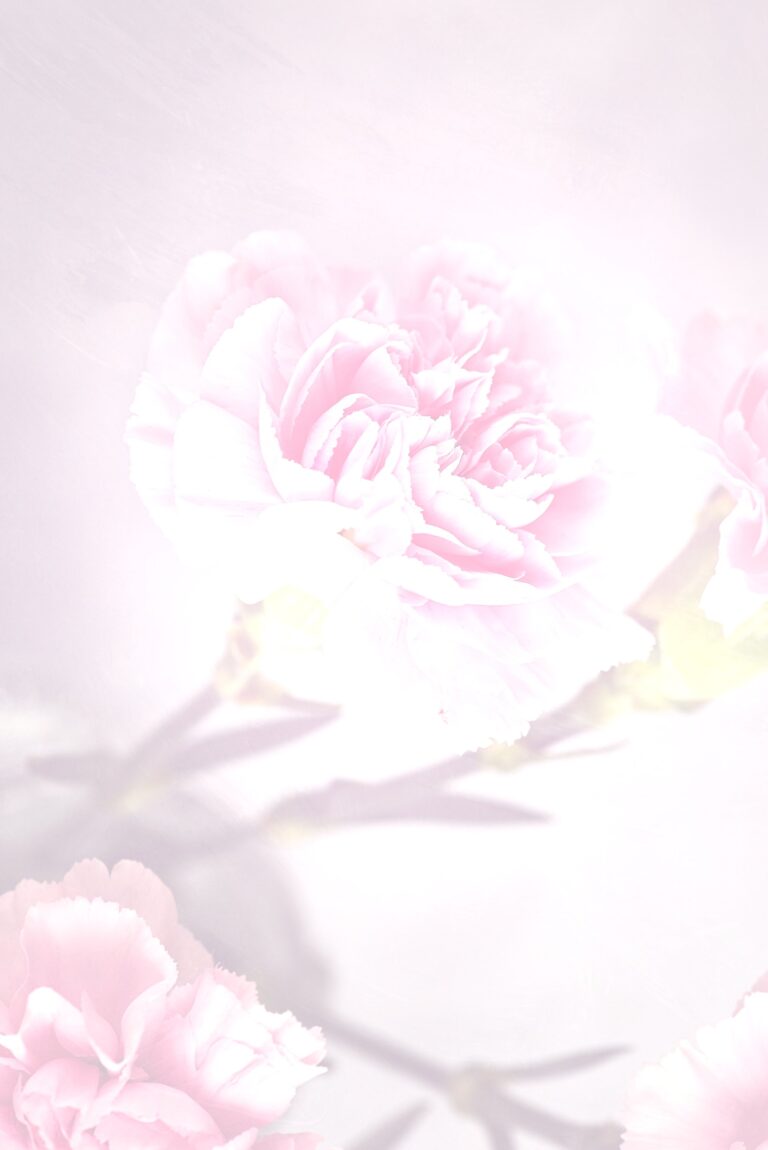 Anjer Roos 2 (helder)